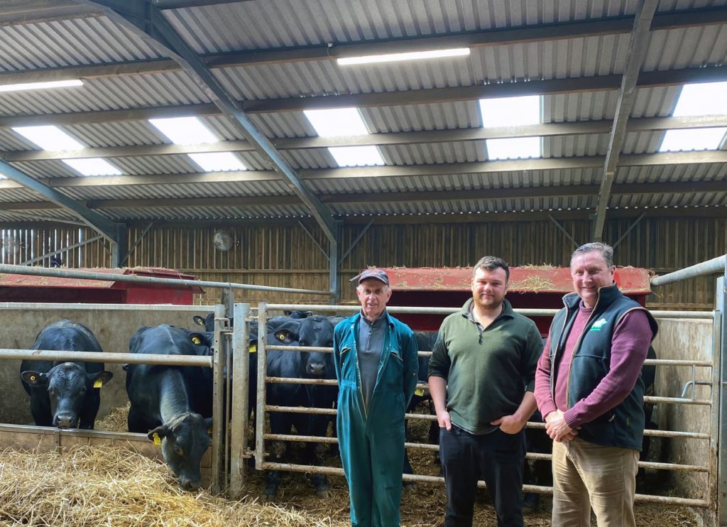 Bull Beef Finishing System provides success for Welsh Young Farmer ...